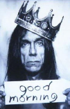 伊基·波普 Iggy Pop James Newell Osterberg    Jimmy  Jr.