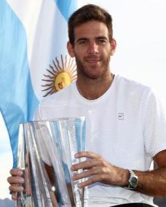 胡安·马丁·德尔波特罗 菠萝 大师兄 笨波 Juan Martin del Potro