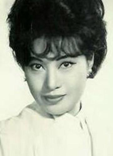 丁红 Pat Ting Hung 汪燦華 Tsan Hua Wang