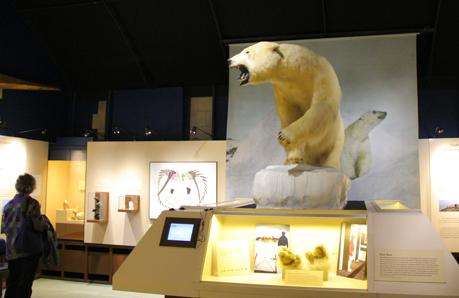 皮里-麦克米伦北极博物馆 Peary–MacMillan Arctic Museum
