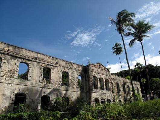 法利山国家公园 Farley Hill National Park