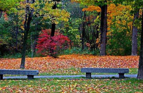 皇家山公园 Mount Royal Park