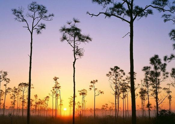 大沼泽地国家公园 Everglades National Park