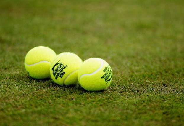 温布顿网球场 Wimbledon Tennis Court