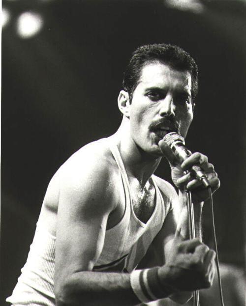 佛莱迪·摩克瑞 Freddie Mercury Farrokh Bulsara