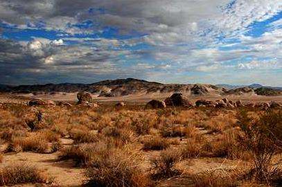 莫哈韦沙漠 Mojave Desert