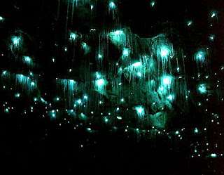 蒂阿瑙萤火虫洞 Te Anau Glowworm Caves