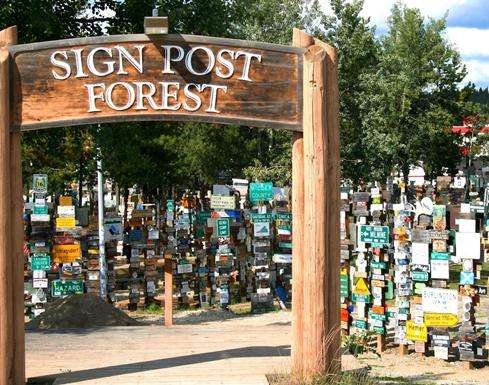 路标森林 Sign Post Forest