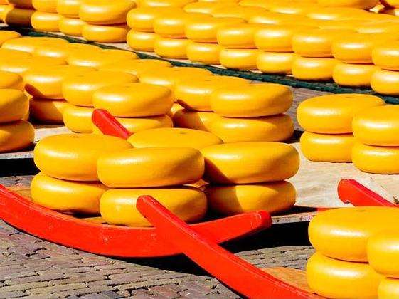 阿克马乳酪市场 Alkmaar Cheese Market