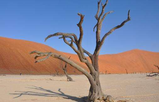 纳米布沙海 Namib Sand Sea