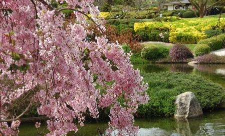 考兰日本花园 Cowra Japanese Garden