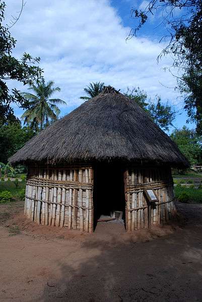 坦尚尼亚国家博物馆 National Museum of Tanzania