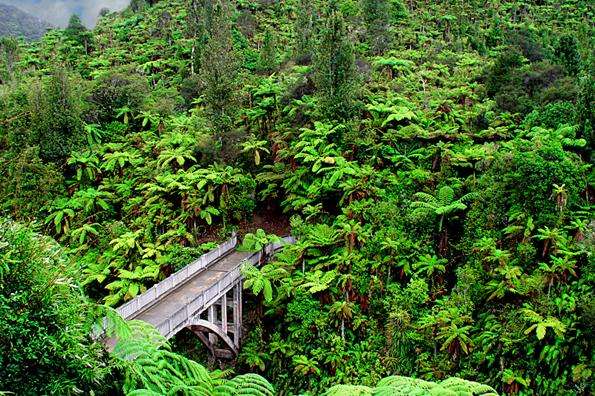 旺格努伊国家公园 Whanganui National Park