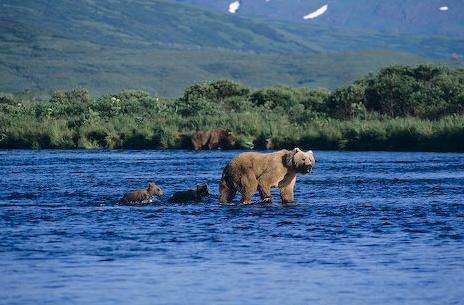 科迪亚克国家野生动物保护区 Kodiak National Wildlife Refuge