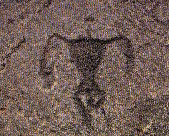 帕科岩画考古保护区 Puako Petroglyph Archaeological Preserve