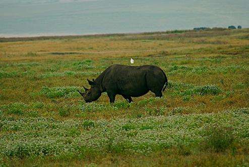 林波波国家公园 Limpopo National Park