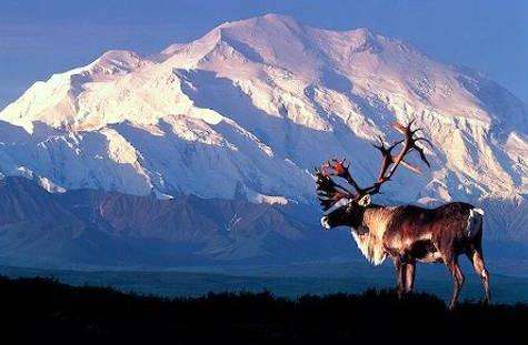 麦金利山 Mount McKinley