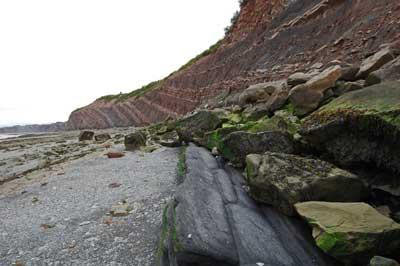乔金斯化石崖壁 Joggins Fossil Cliffs