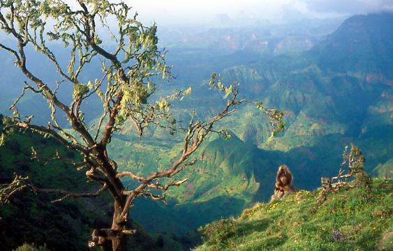 瑟门山国家公园 Simien Mountains National Park