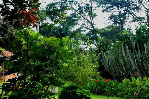 阿布里植物园 Aburi Botanical Gardens