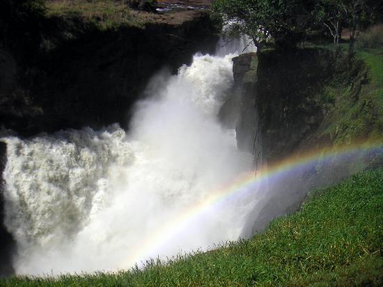 默奇森瀑布国家公园 Murchison Falls National Park