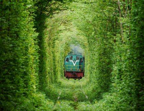 爱的隧道 Tunnel of Love