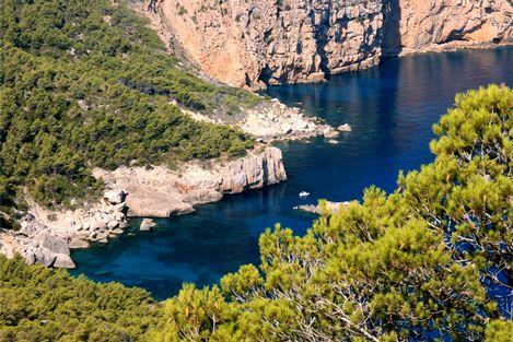 伊维萨岛的生物多样性和特有文化 Ibiza Biodiversity and Culture