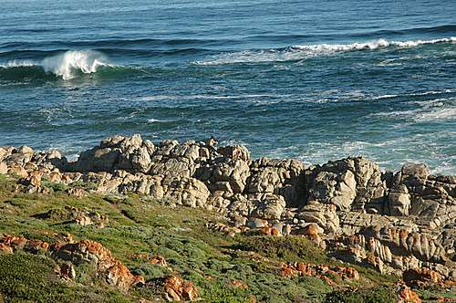 蚝湾 Oyster Bay Eastern Cape