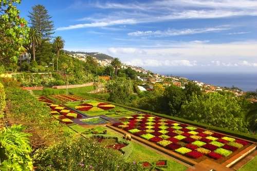 丰沙尔 Funchal