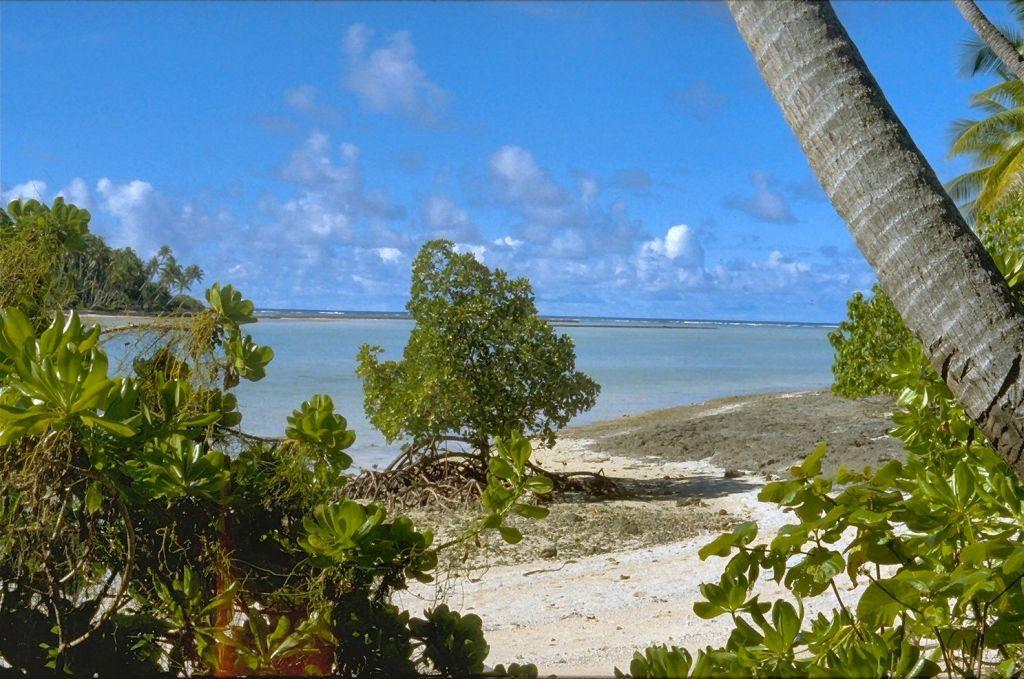 比卡尔环礁 Bikar Atoll