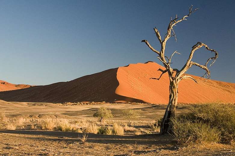 纳米布沙漠 Namib Desert