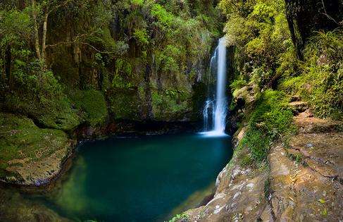 凯亚蒂瀑布 Te Rerekawau Kaiate Falls