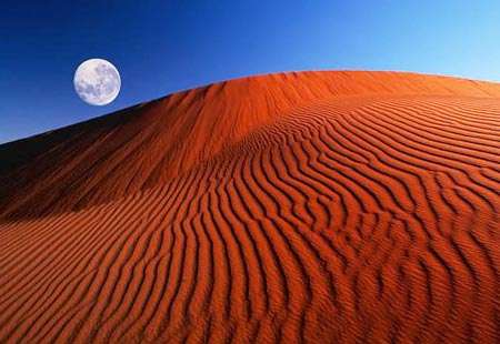 卡拉哈里沙漠 Kalahari Desert