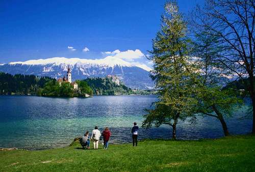 布莱德湖 Lake Bled