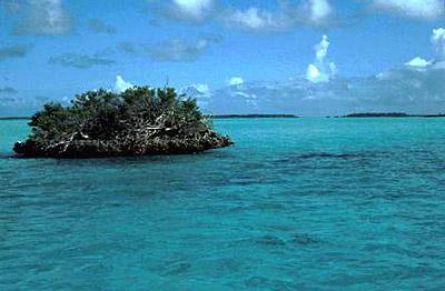 阿尔达布拉环礁 Aldabra Atoll