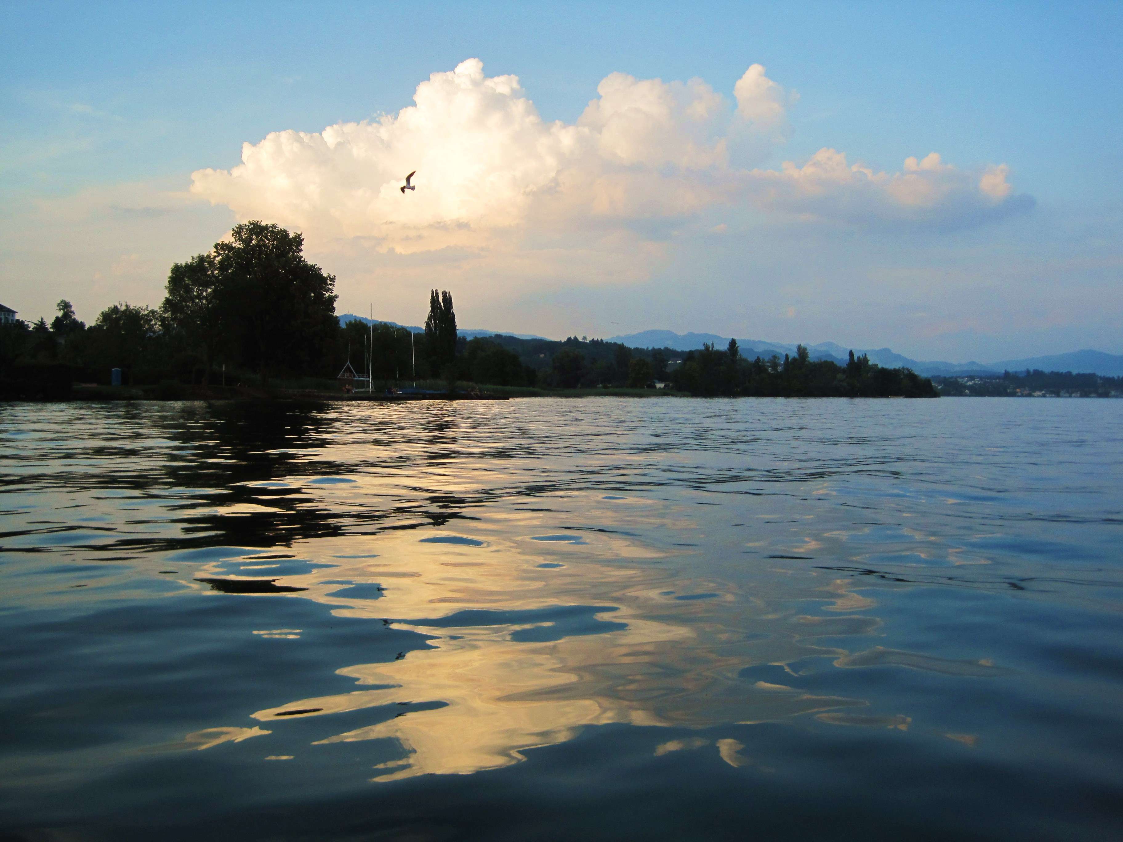 苏黎世湖 Lake Zurich