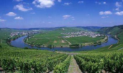 摩泽尔河 Moselle River