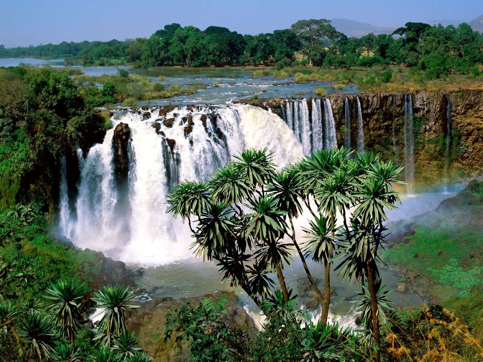 青尼罗河瀑布 Blue Nile Falls