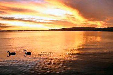 罗托鲁阿湖 Lake Rotorua
