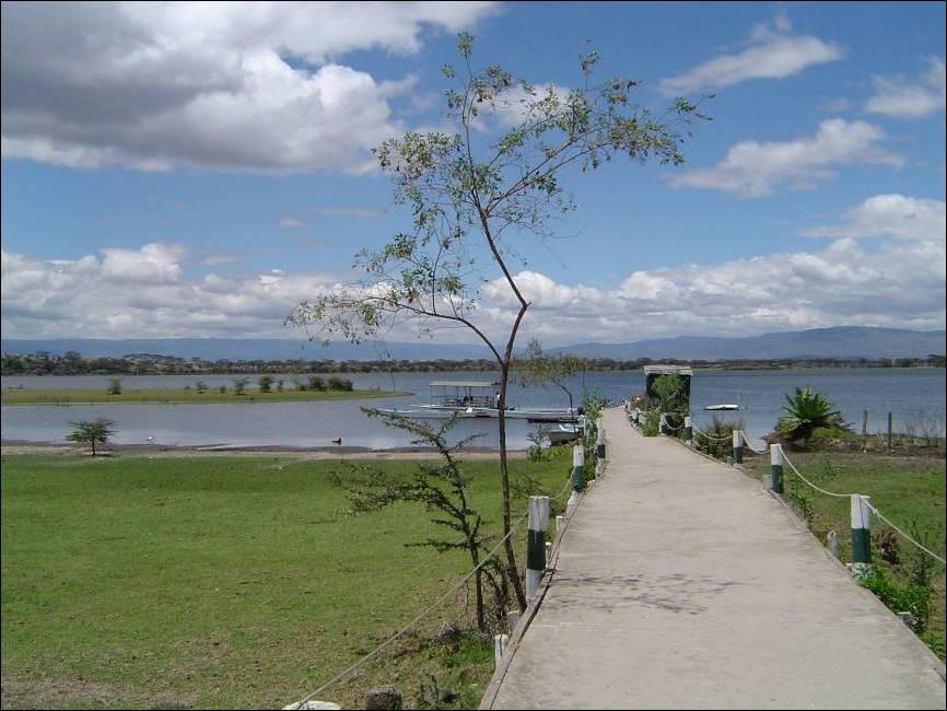 肯亚东非大裂谷的湖泊系统 Kenya Lake System in the Great Rift Valley