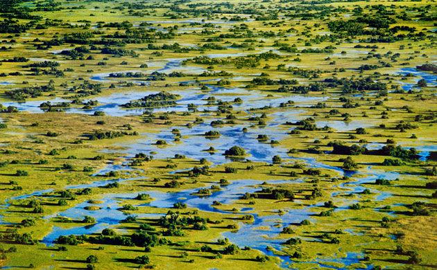 奥卡万戈三角洲 Okavango Delta