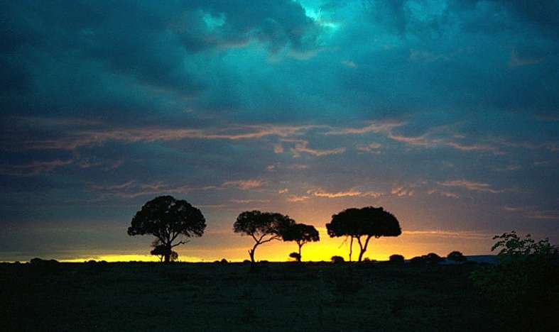 马赛马拉国家野生动物保护区 Maasai Mara National Reserve