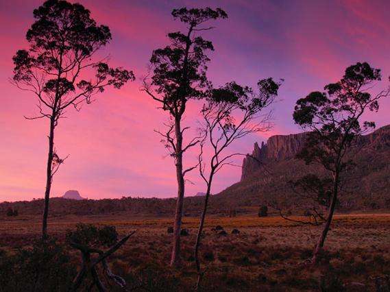 塔斯马尼亚荒原 Tasmanian Wilderness
