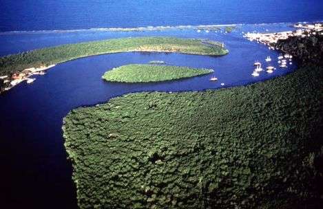 大西洋沿岸热带雨林保护区 Discovery Coast Atlantic Forest Reserves
