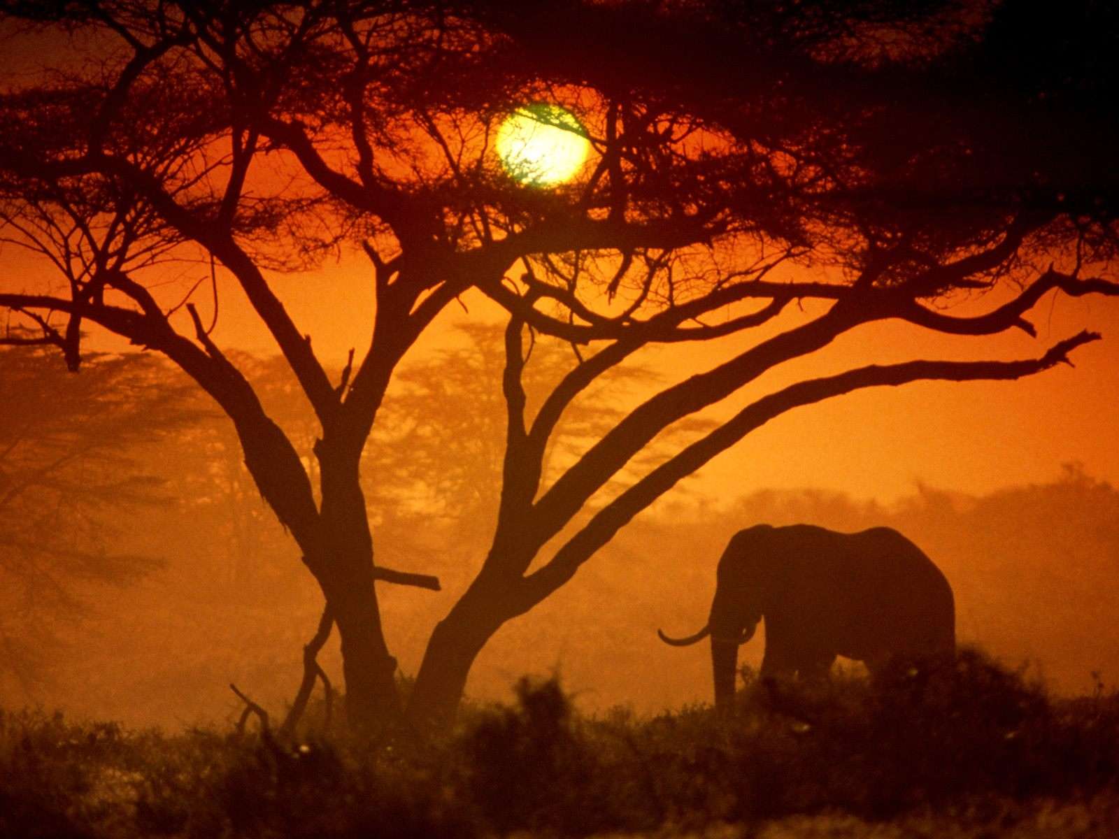 安博塞利国家公园 Amboseli National Park