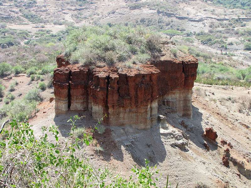 奥杜瓦伊峡谷 Olduvai Gorge