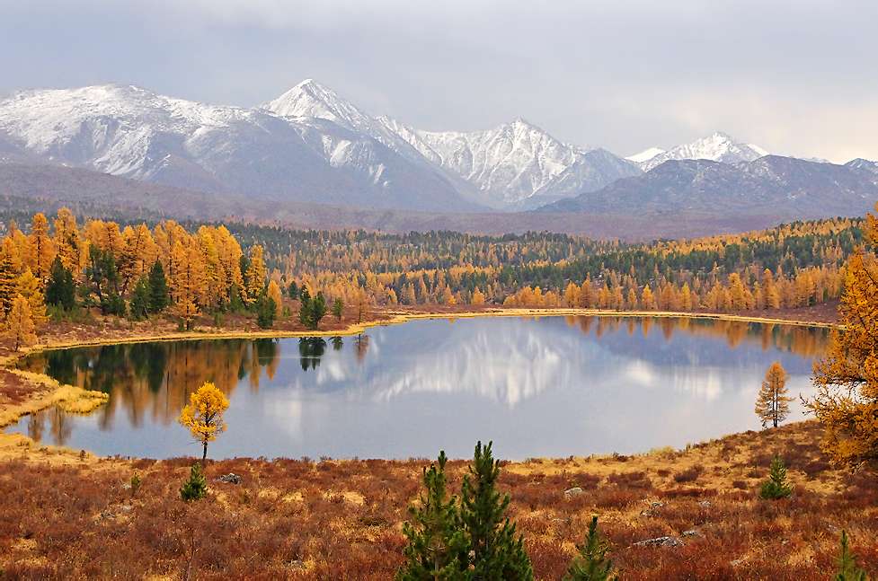 金山-阿尔泰山 Golden Mountains of Altai