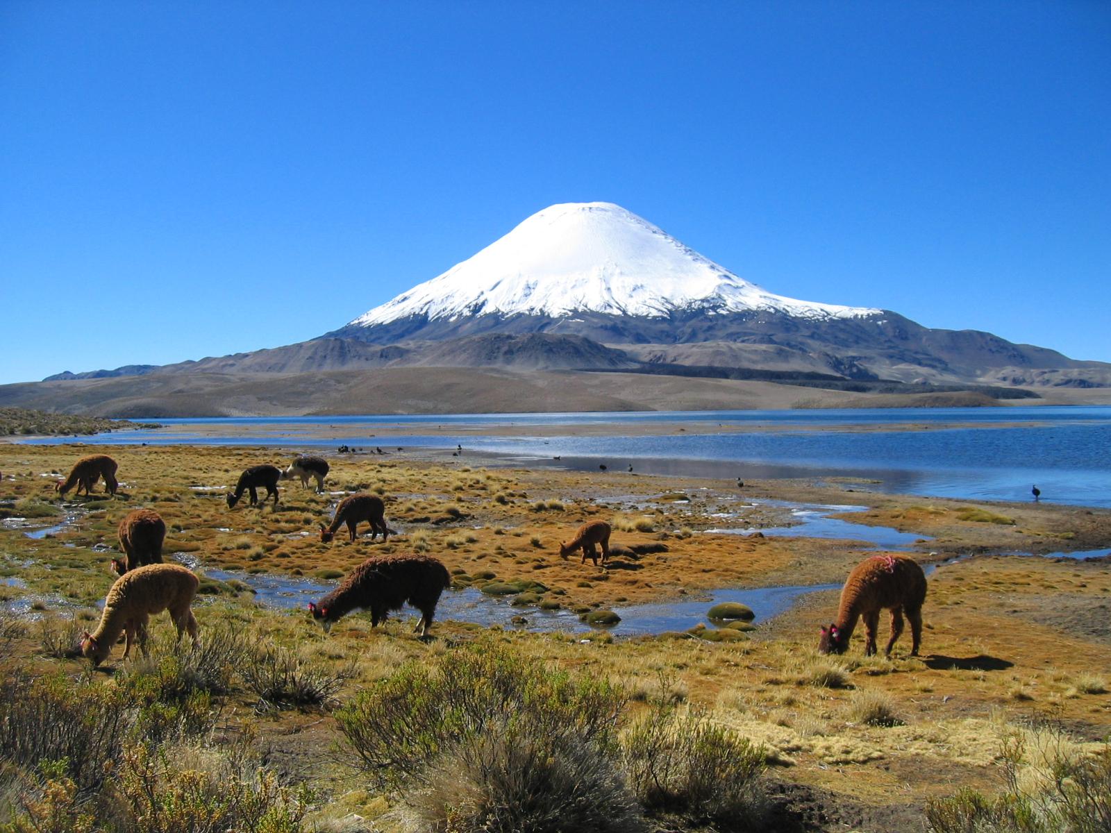 帕伊内角峰 Parinacota Volcano