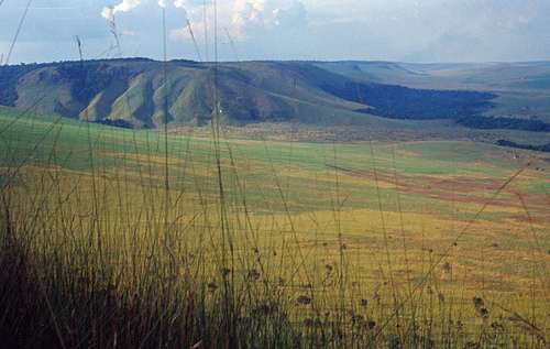 巴泰凯高原 Bateke Plateau