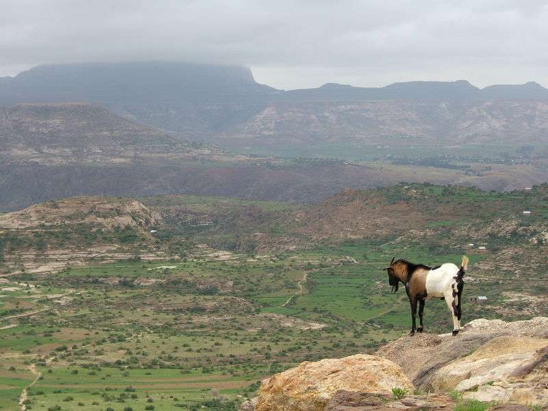 衣索比亚高原 Ethiopian highlands